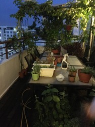 Northoaks (D25), Condominium #164359102